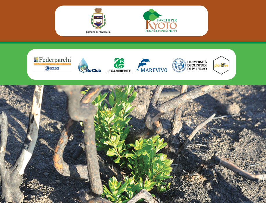 Prima_Immagine_Pagina_Progetto