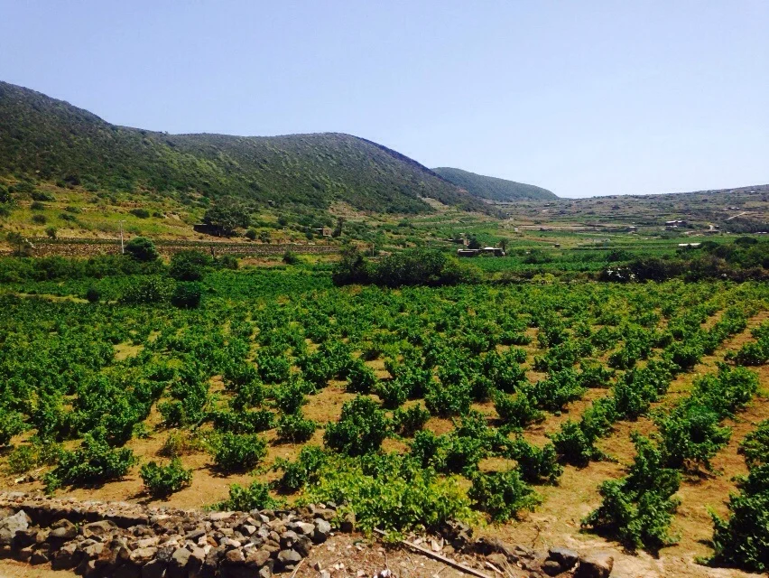pantelleria