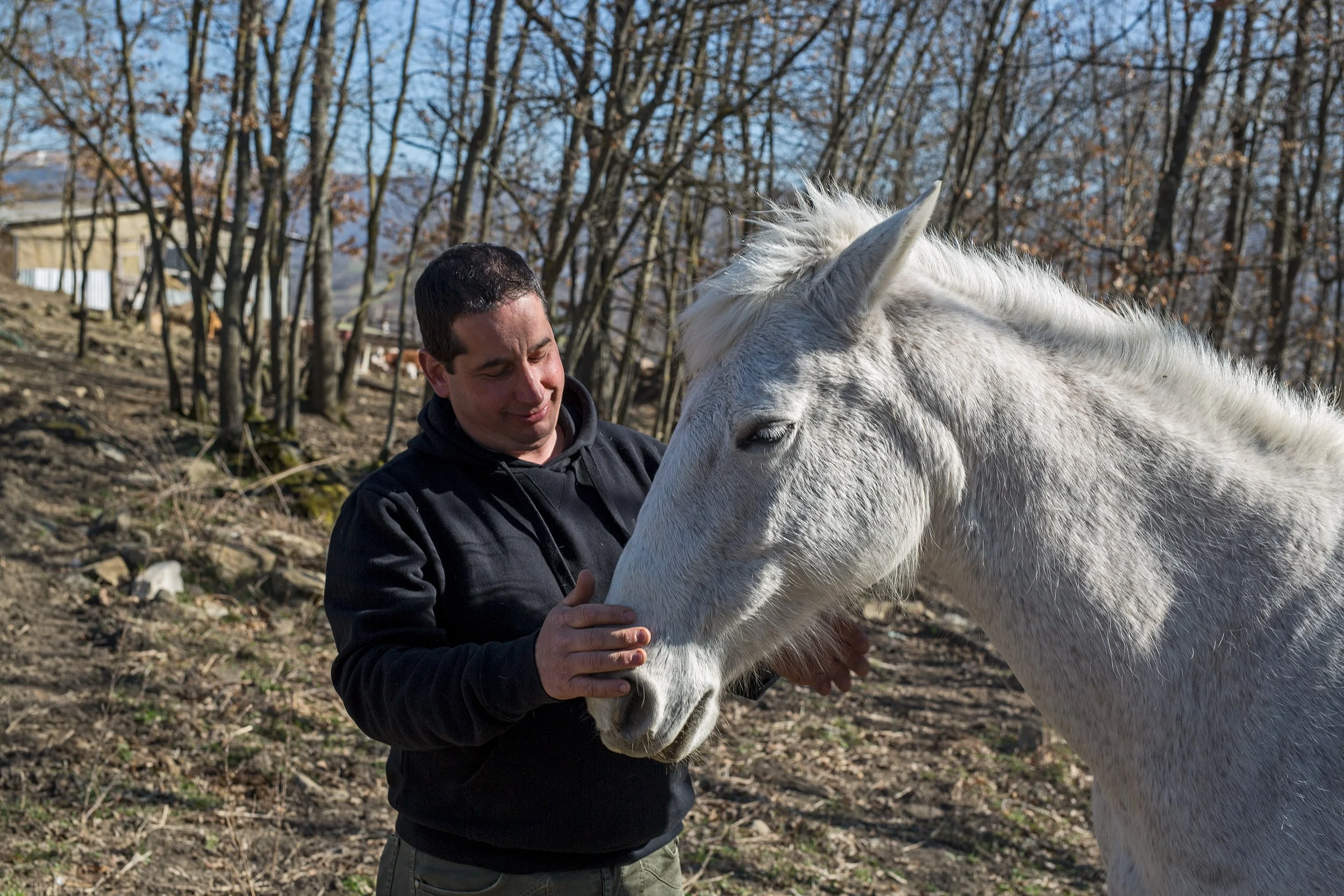 Alleva la speranza Fabio Fantusi