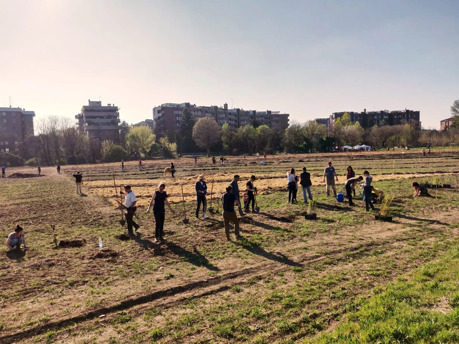 Parco della Vettabbia