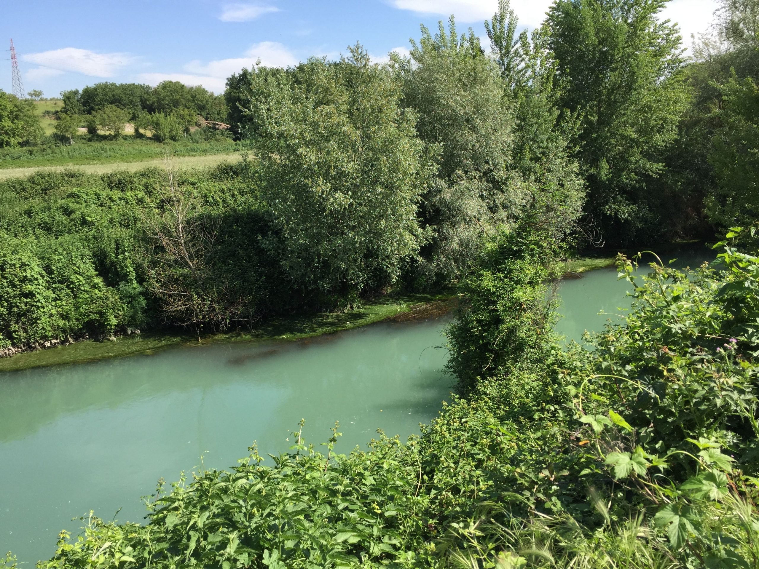 riserva
