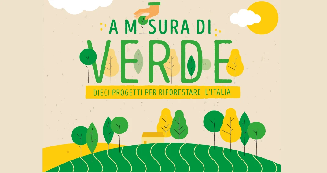 amisura
