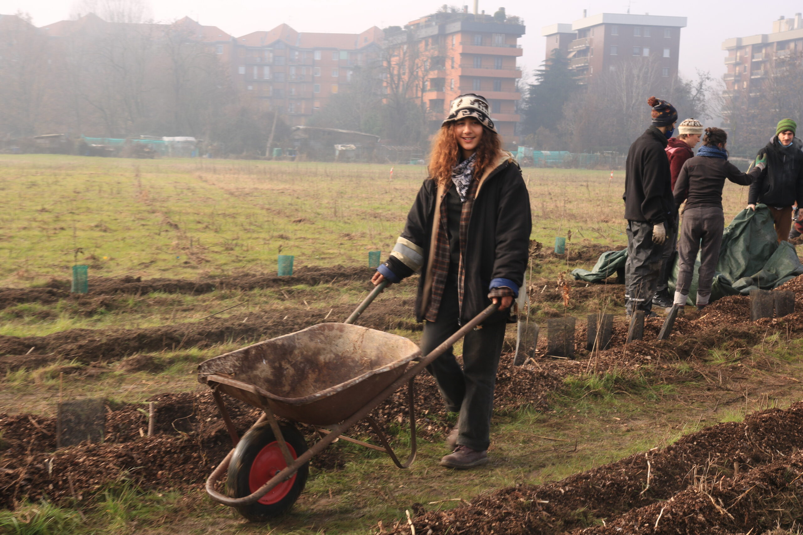 riforestazione