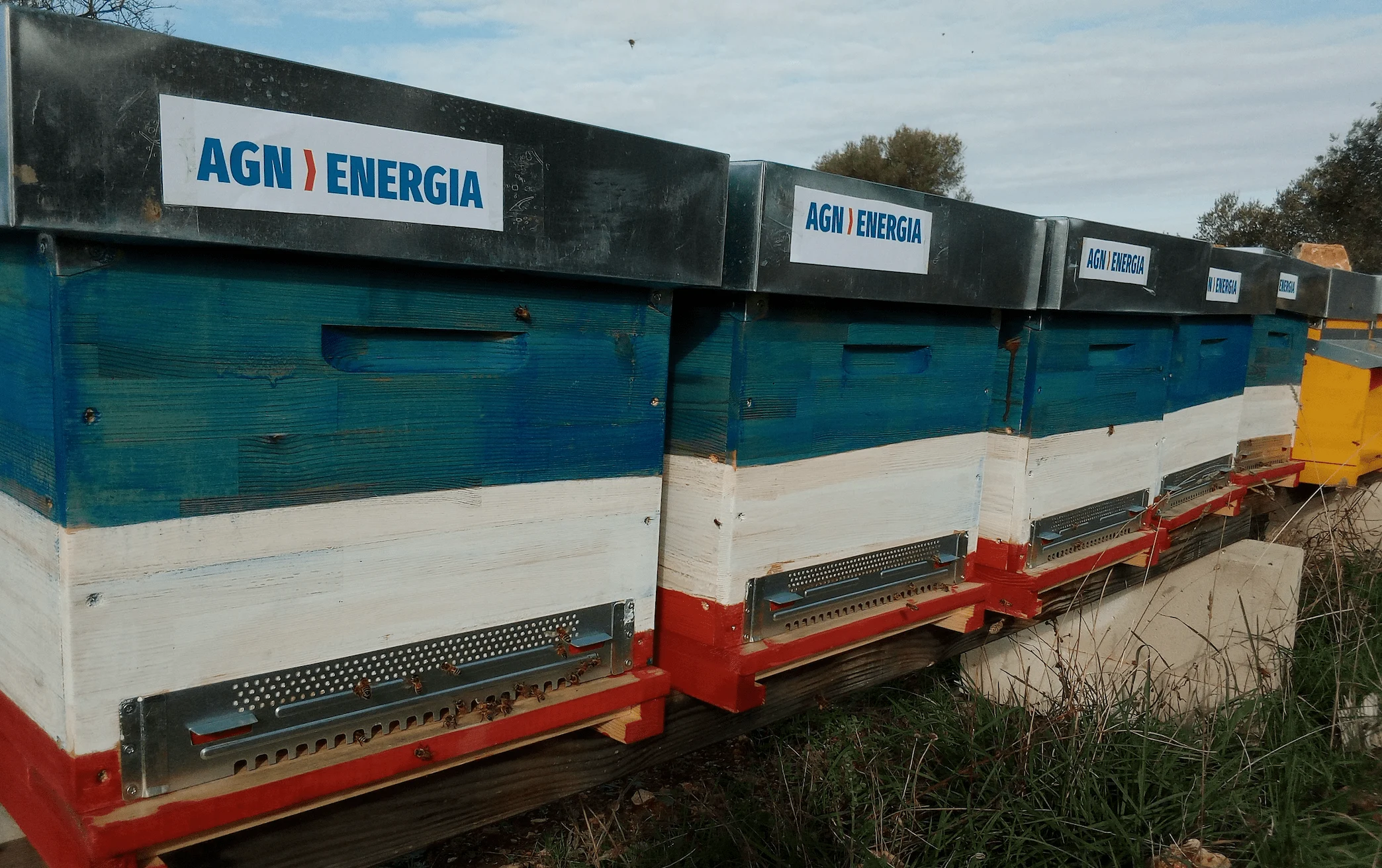 Arnie AGN ENERGIA