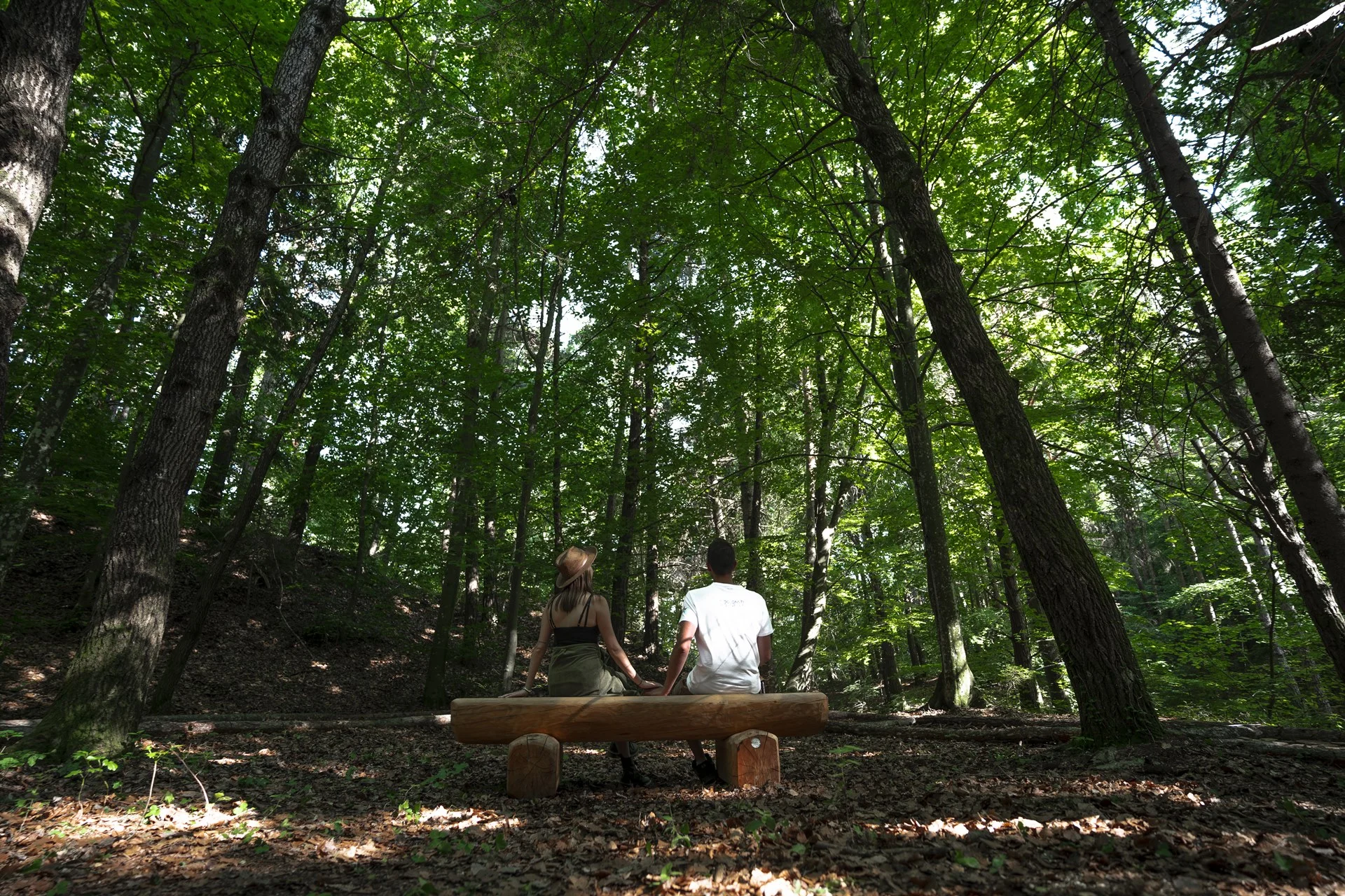 Forest bathing - Foto di Marco Santinelli per Dolomiti Paganella