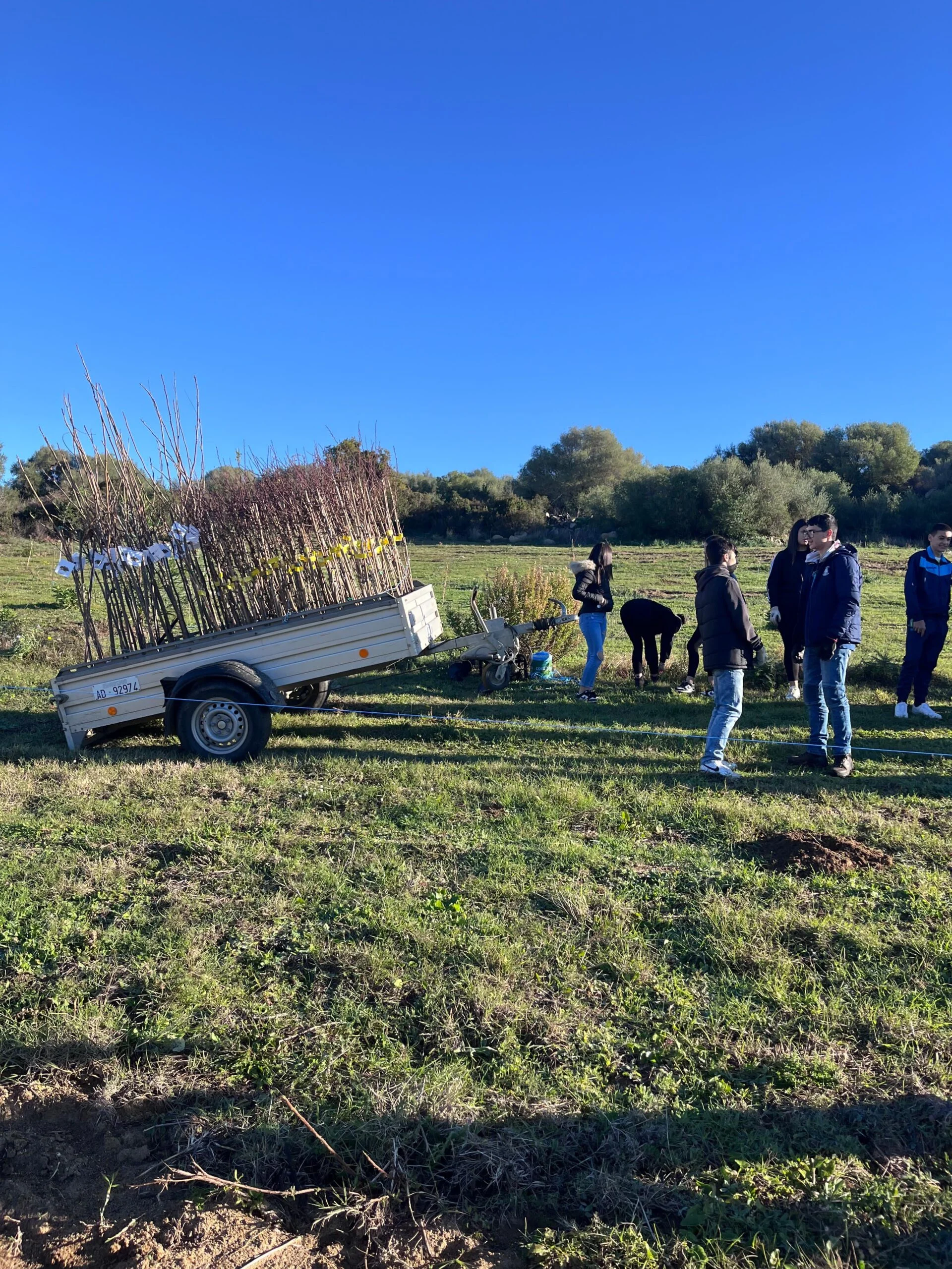 Progetto forestazione despar sardegna