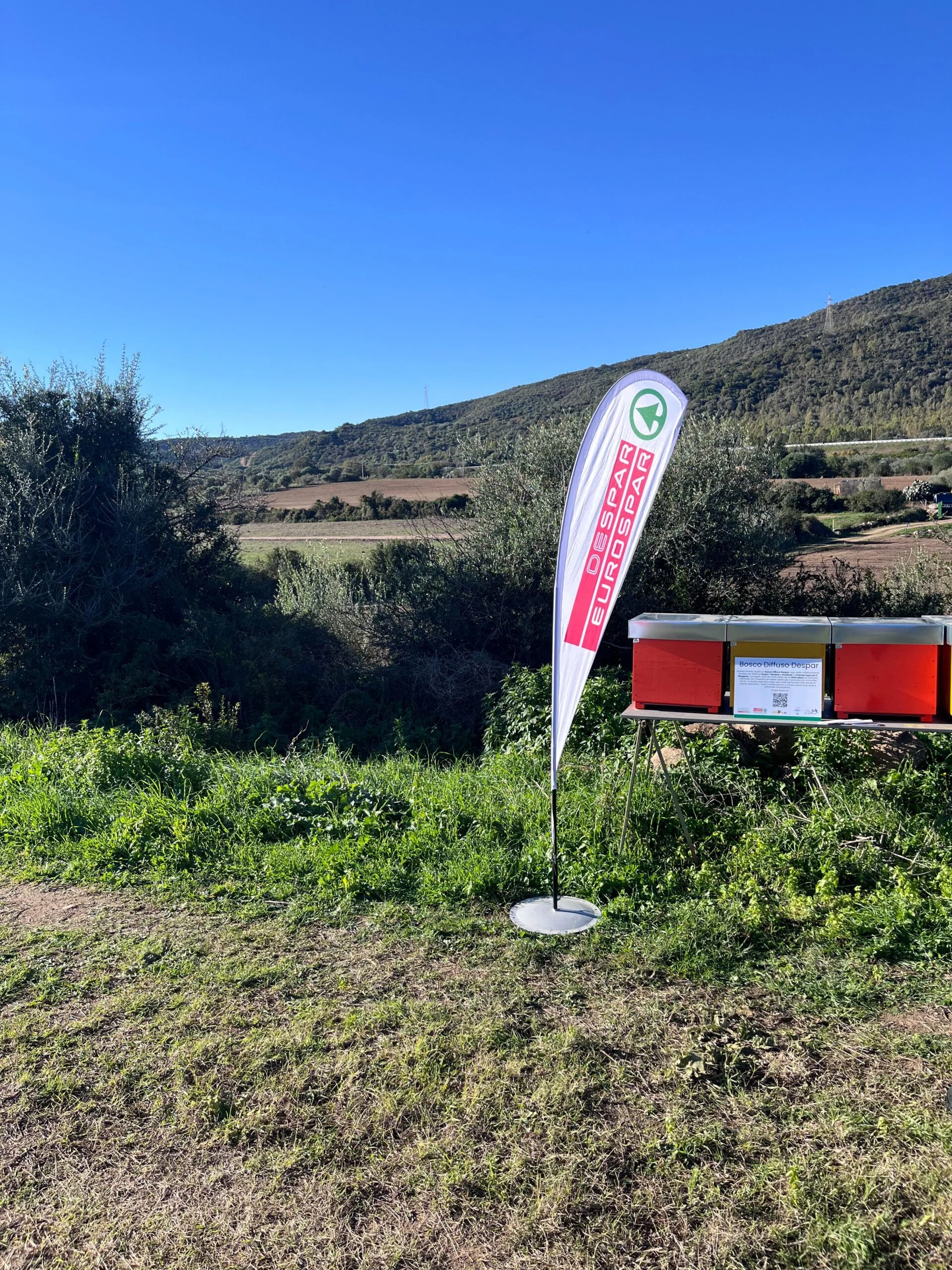 Progetto forestazione despar sardegna