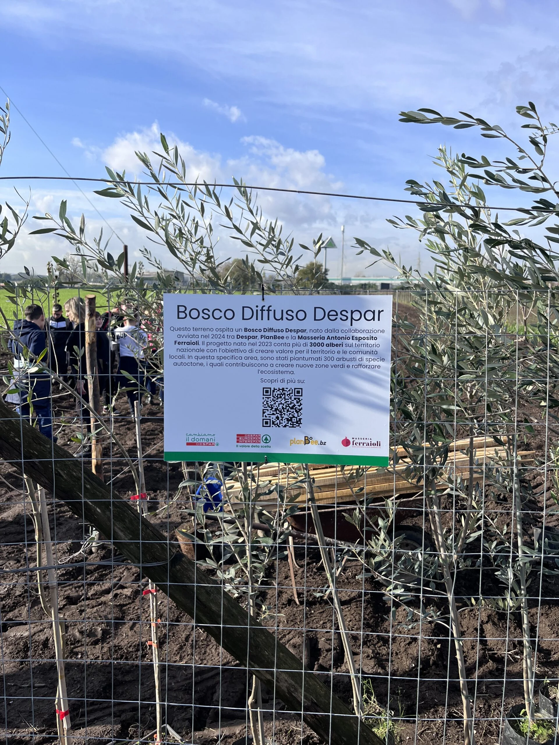 Progetto forestazione masseria ferraioli afragola napoli