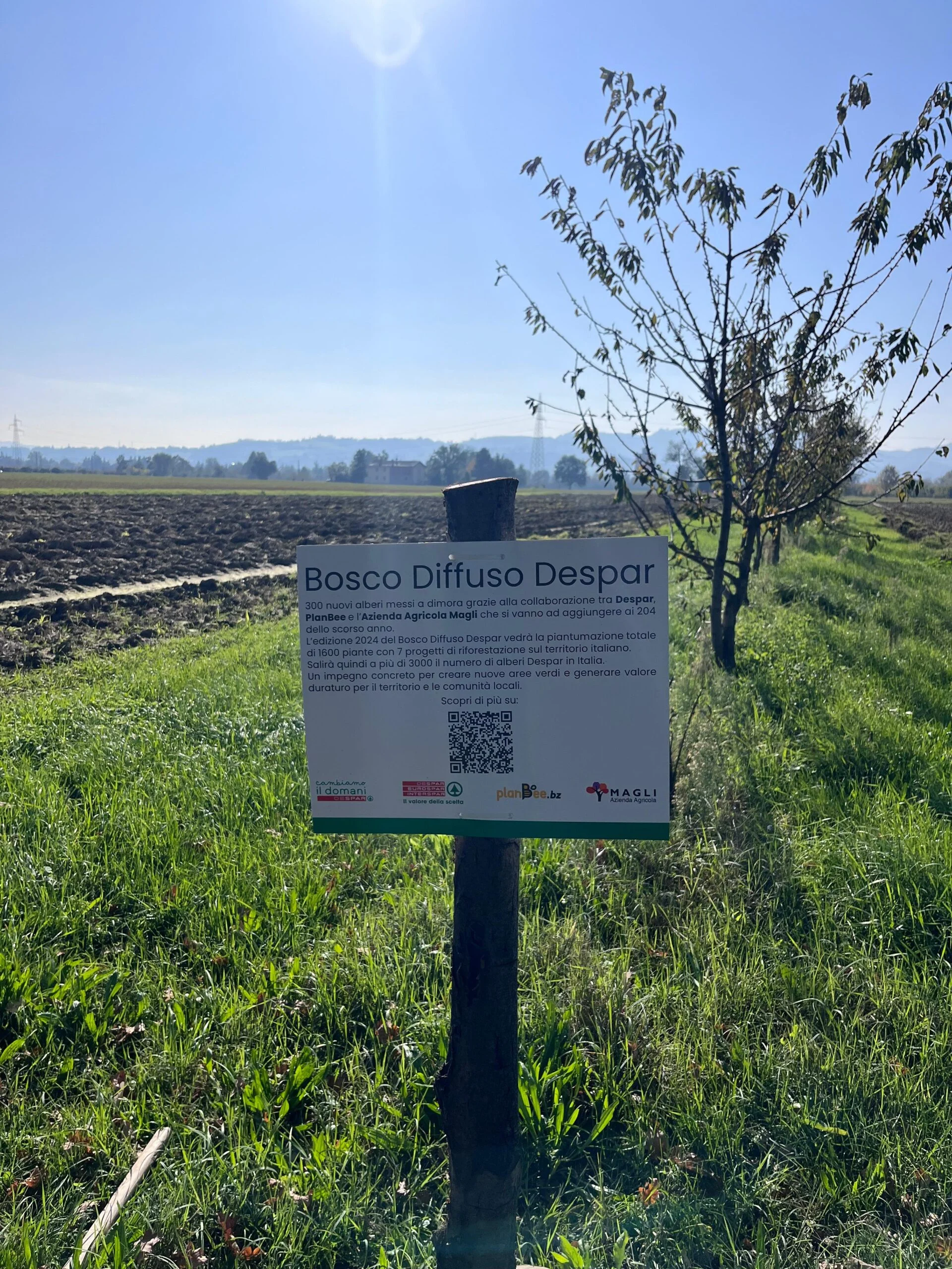 Progetti forestazione Despar a Bologna