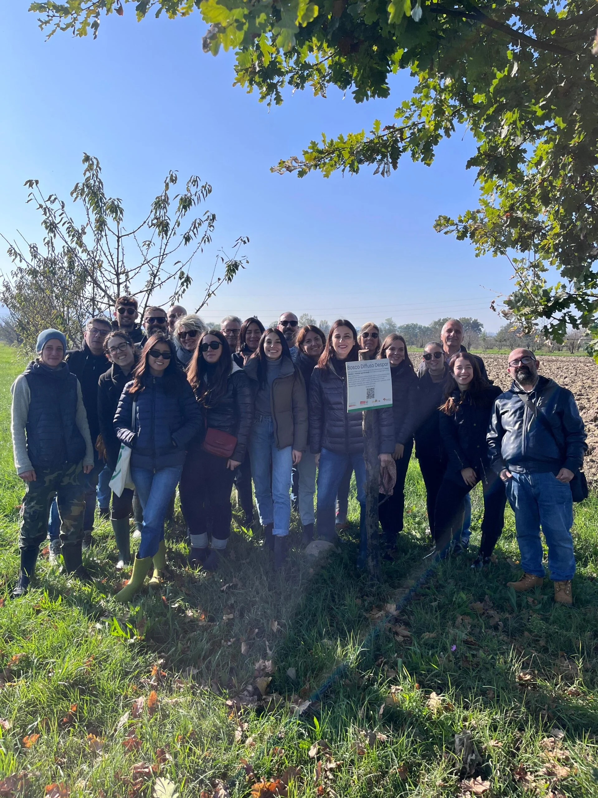 Progetti forestazione Despar a Bologna