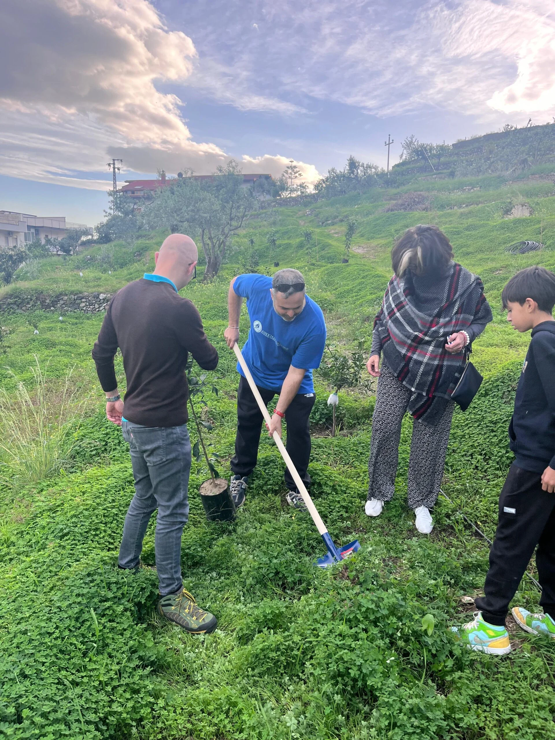 Progetti forestazione Despar a Ragusa