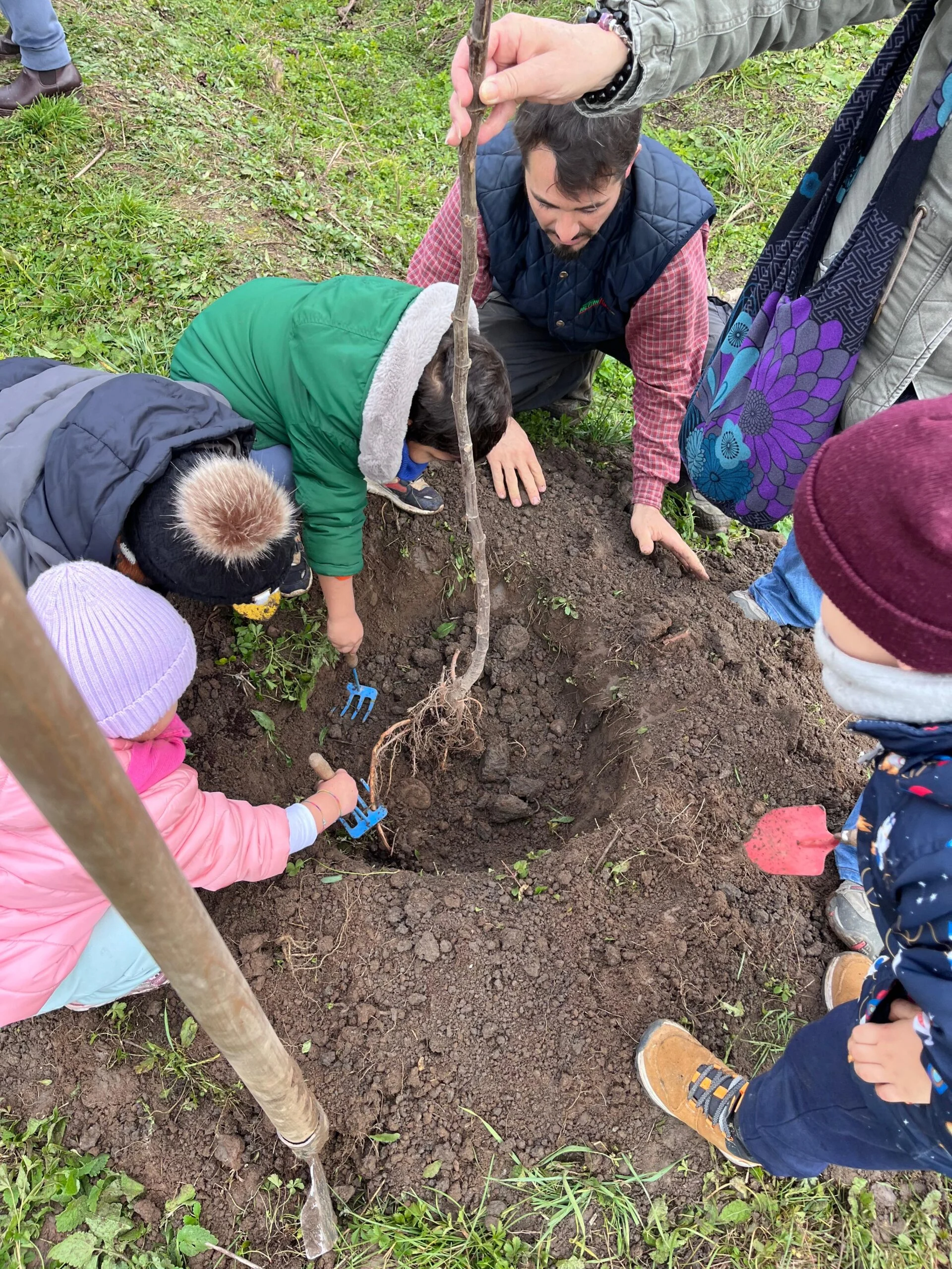 Progetti forestazione Despar a Torino