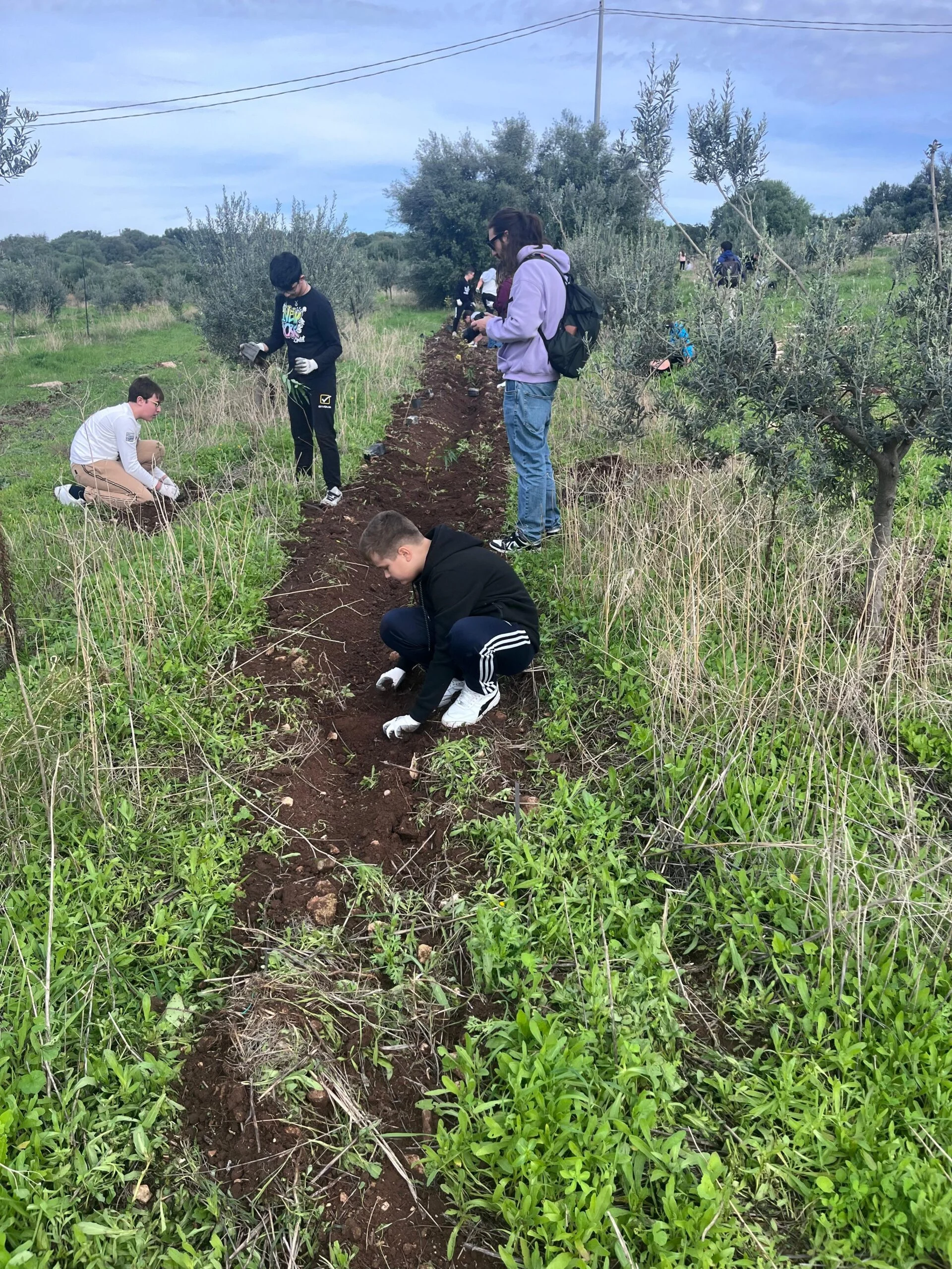 Progetti forestazione Despar a Ragusa