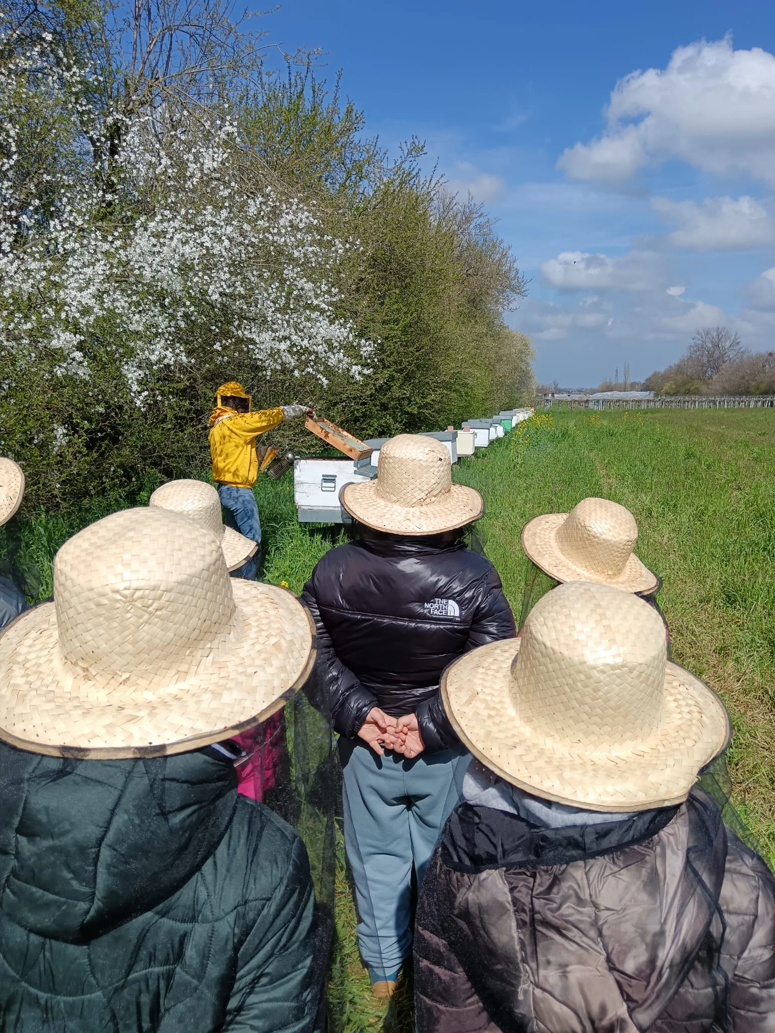 visite apiario per bambini scuole primarie