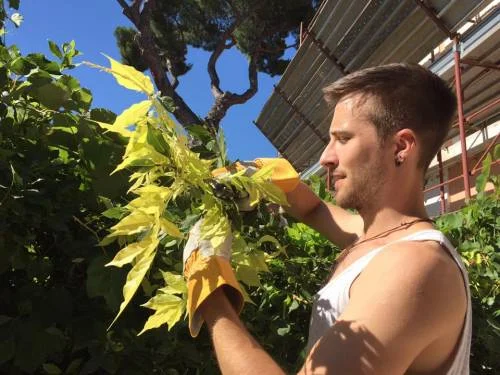 Lavorare per un buon motivo nel verde e sotto un bel cielo blu