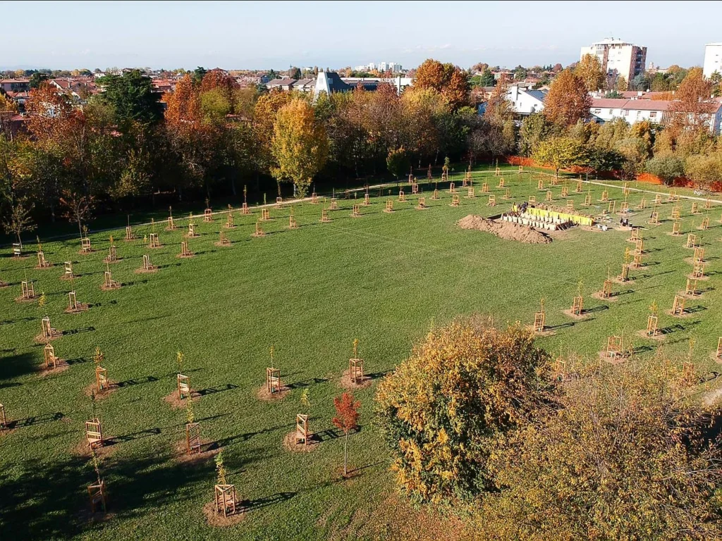 Tutti gli alberi sono stati messi a dimora