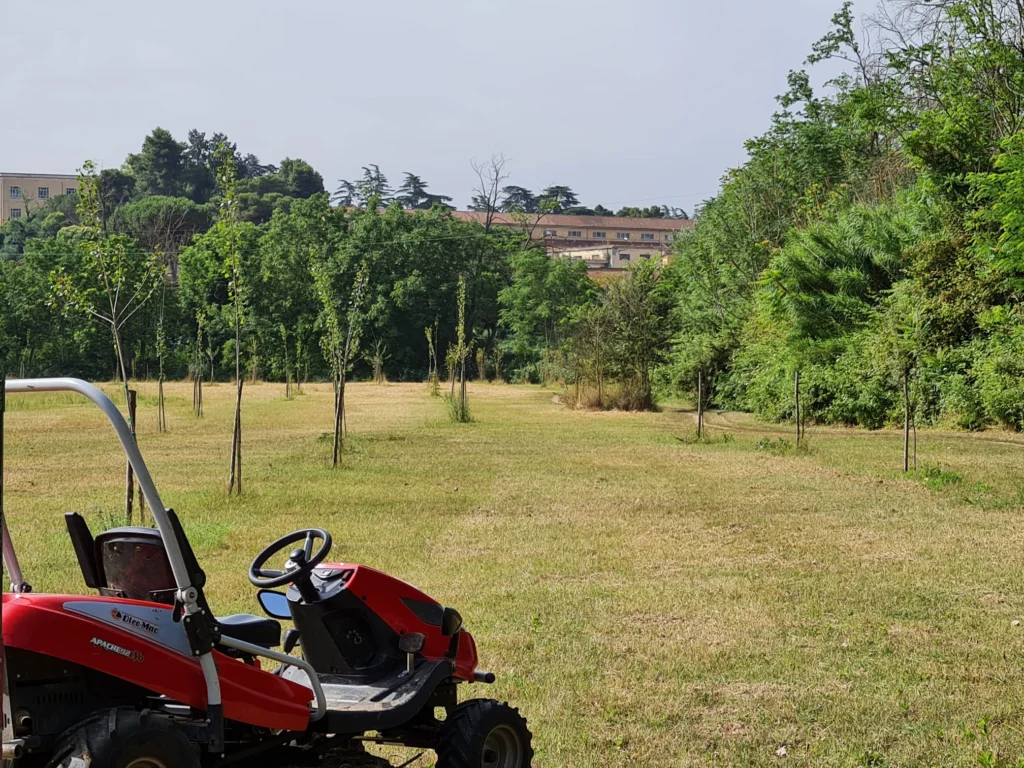 L'estate &egrave; arrivata