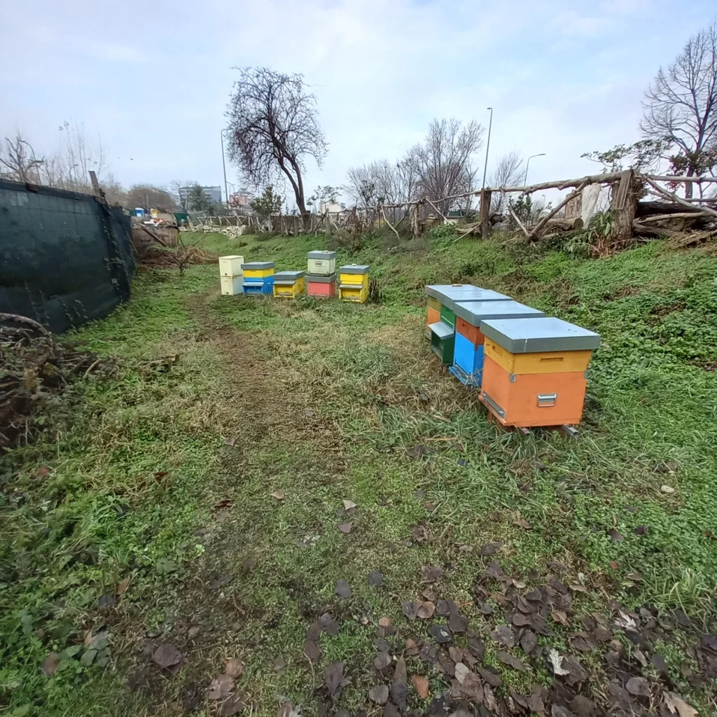 Un corridoio verde per gli impollinatori