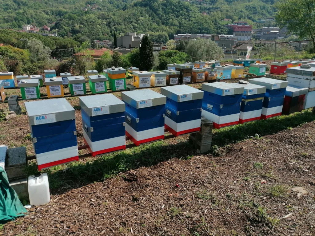 Obiettivo raggiunto!