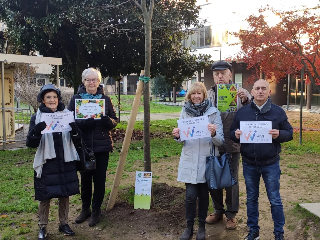 L'albero Alighiero arriva in piazza a Saronno