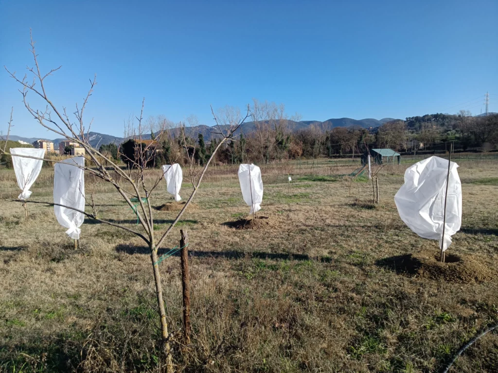 L'orto di Terni si allarga!
