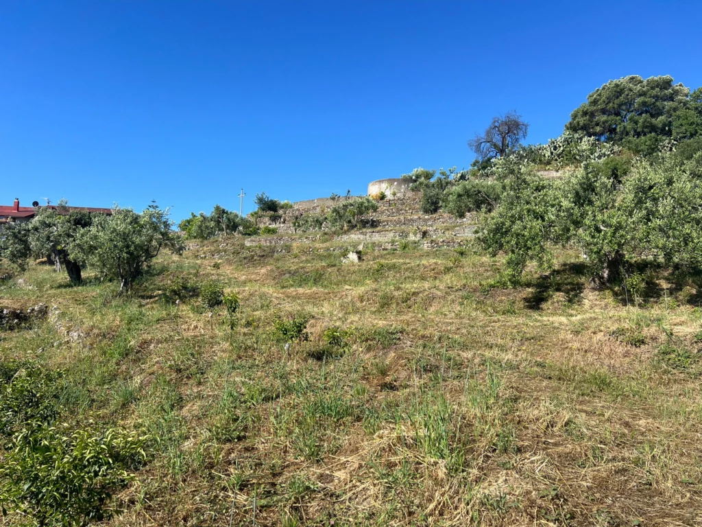 La natura comincia a germogliare!