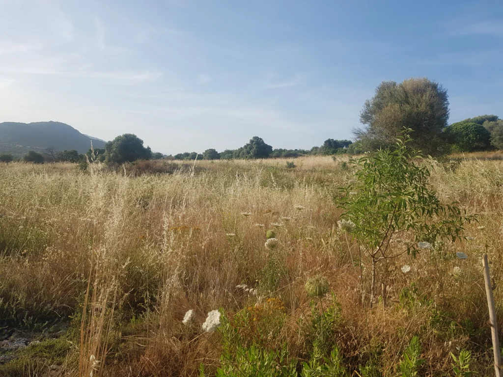 La natura comincia a germogliare!