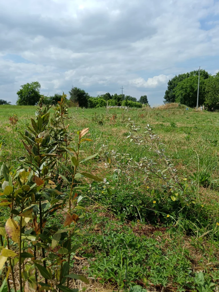 La natura comincia a germogliare!