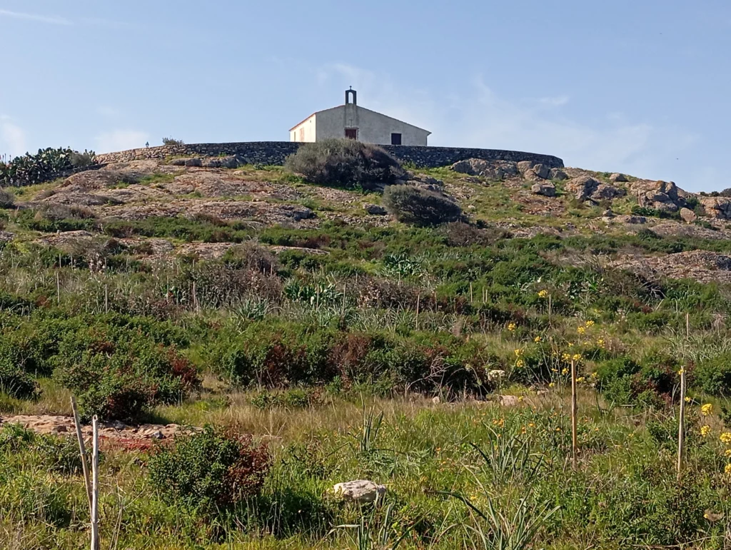 Le piante crescono