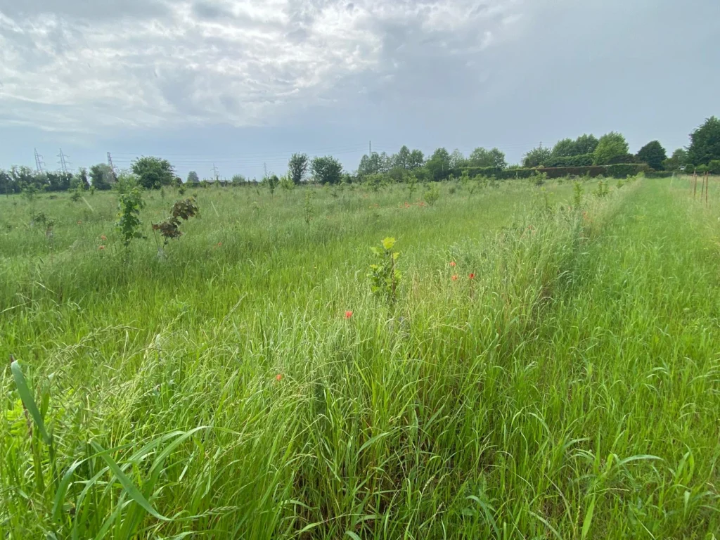 La natura comincia a germogliare!