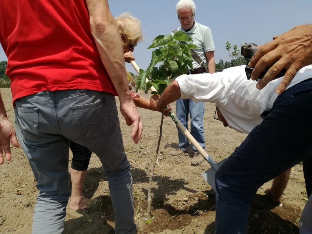 Nuovi alberi per i "100 Orti"