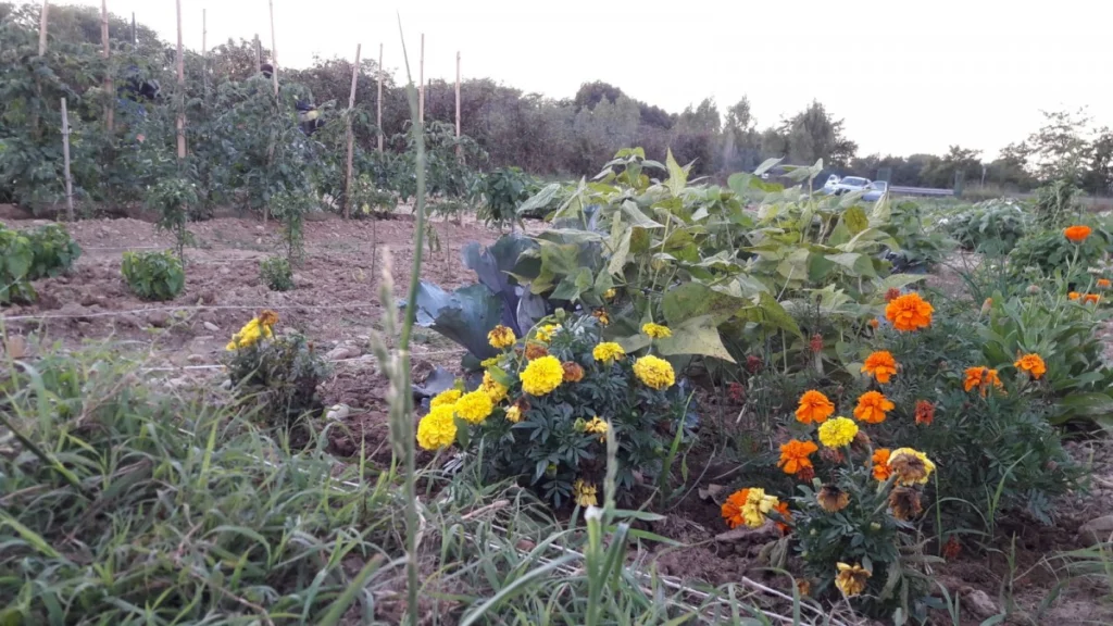 Un tocco di colore