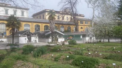 Le nuove serre cominciano a prendere forma